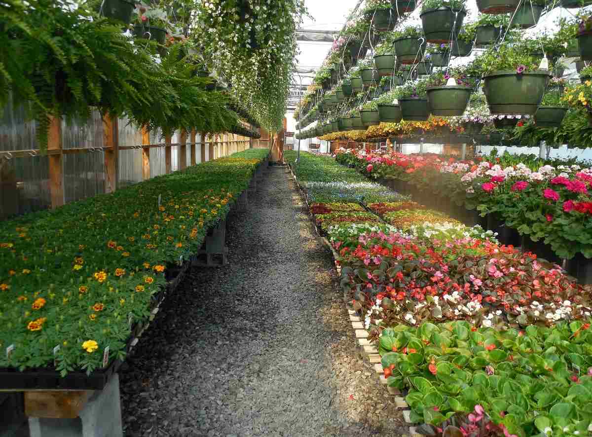 Plant Nursery Business Plan Cost License Permit Ideamakemoney - How Much Does A Plant Nursery Owner Make