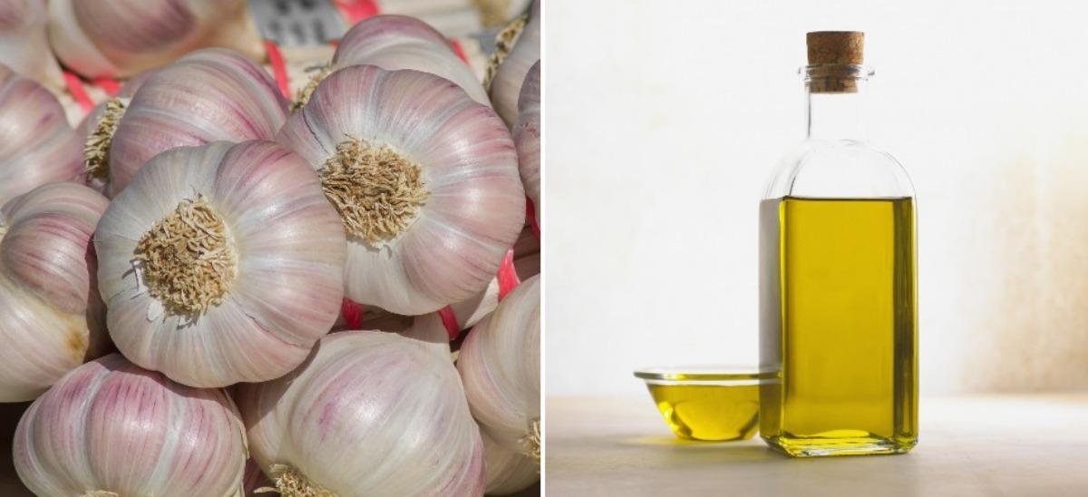 The cost to start a garlic oil business.