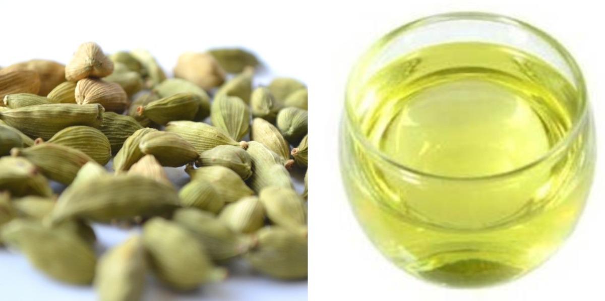 The cost to start a Cardamom oil making business.