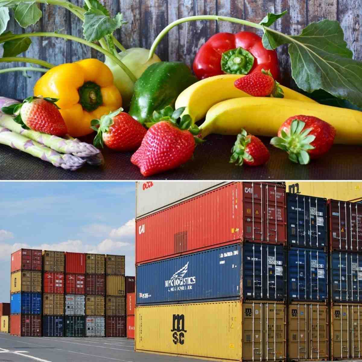 Steps to Start Fruits and Vegetable Export.