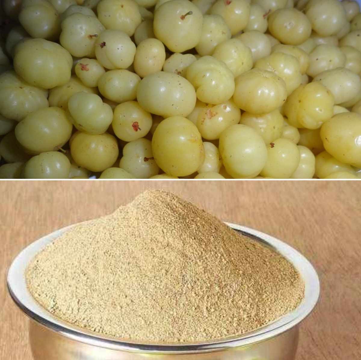 Licenses for processing an Amla powder,