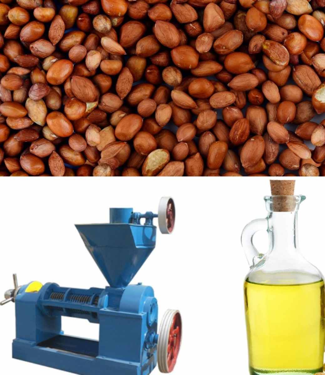 An extraction procedure and manufacturing of Groundnut oil.