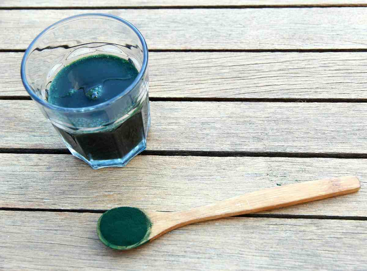 The cost to start a spirulina powder business.