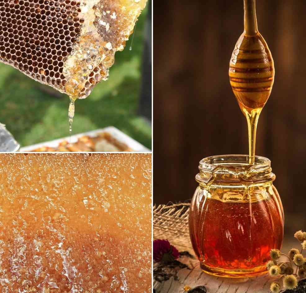The market potential for honey processing.