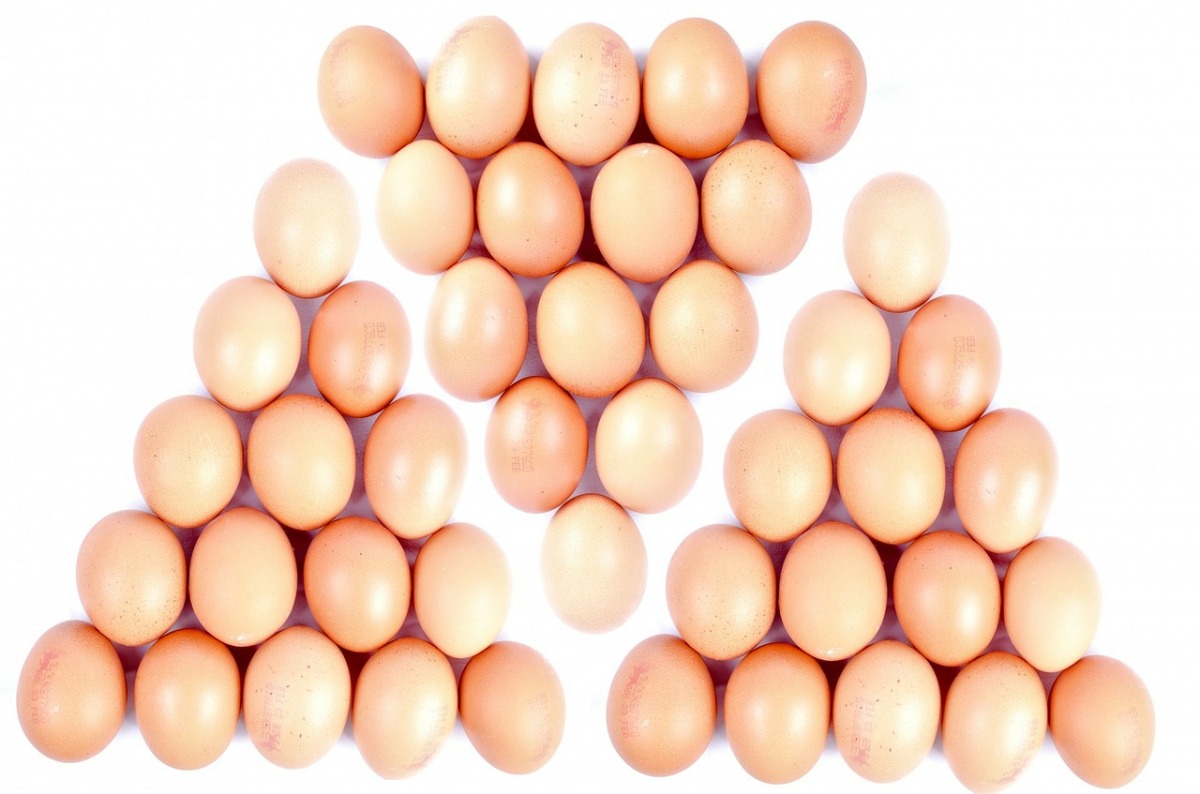 Market potential of Organic Egg production.
