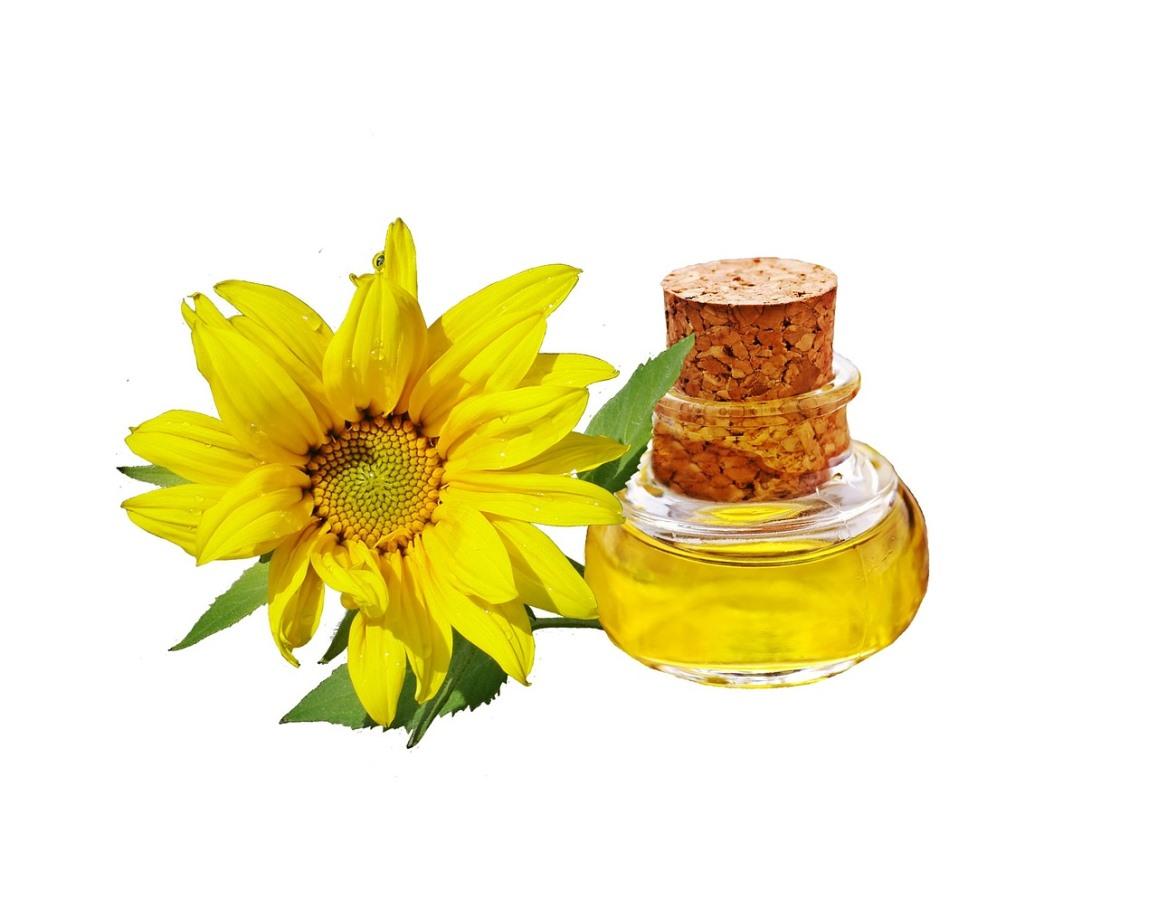 Sunflower Oil Manufacturing Cost.