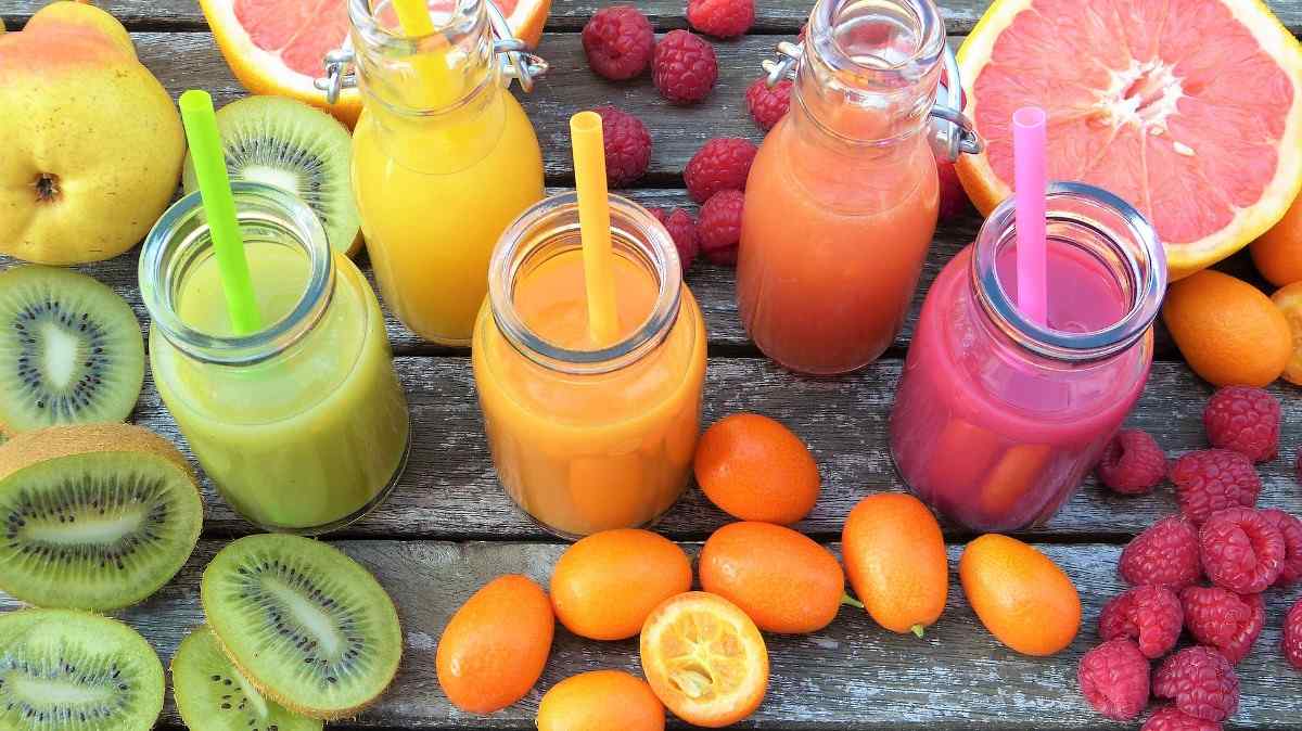 fruit juice business plan pdf india