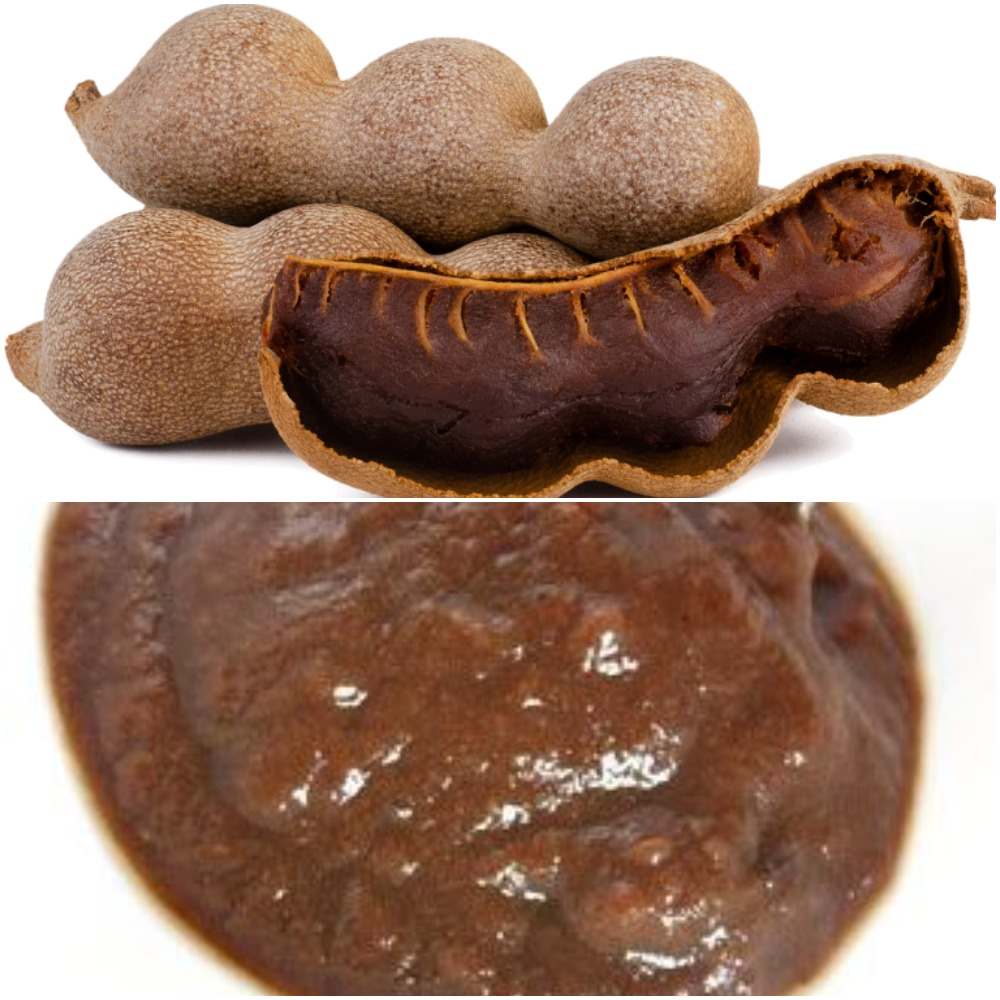 Investment required to start tamarind paste making business