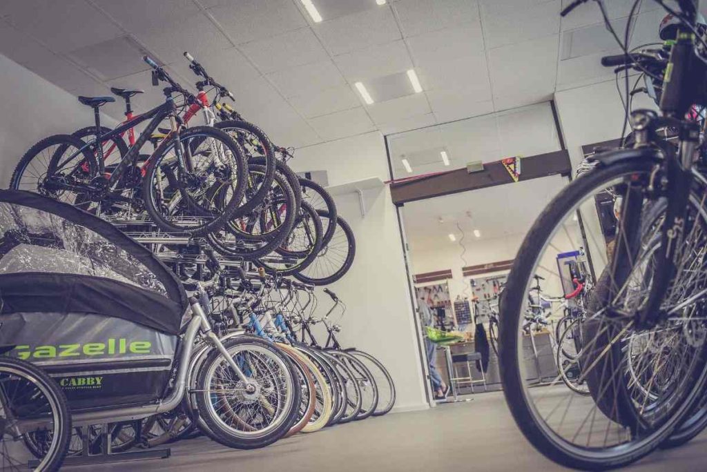 Profit margin in Cycle Store Business in India