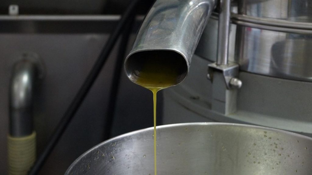 Guide to Vegetable Oil Production business