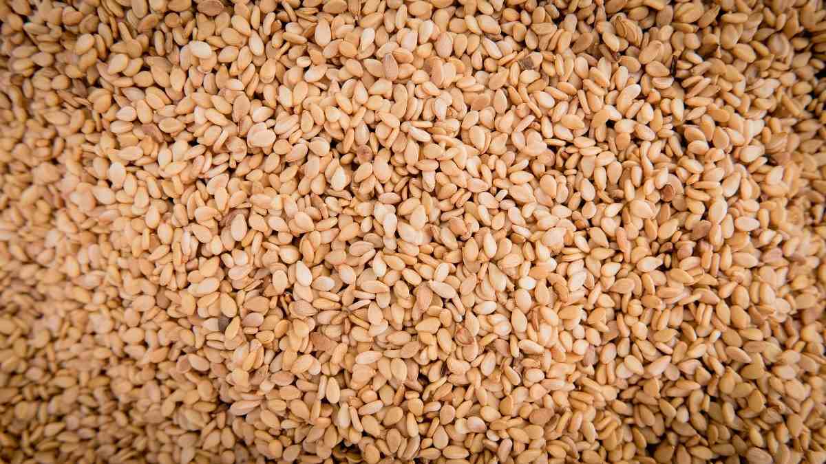 Project Report on De-Hulling of Sesame Seeds