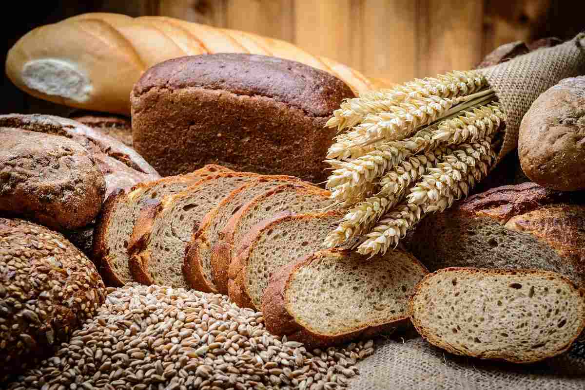 Bread Manufacturing Project Report and Business Plan in India
