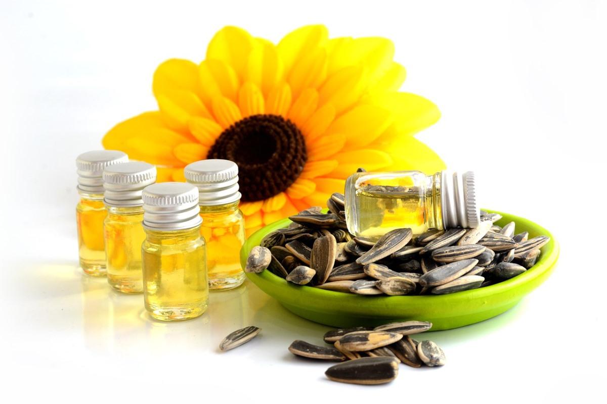 Sunflower Oil Project Report, Manufacturing Business Plan