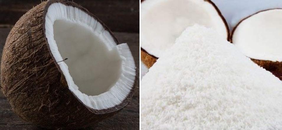 Desiccated Coconut Powder Manufacturing