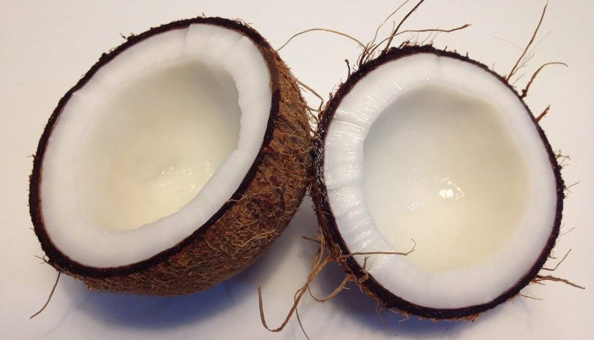 How To Start Coconut Powder Making Business