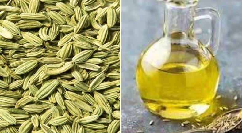 Fennel seed oil extraction process