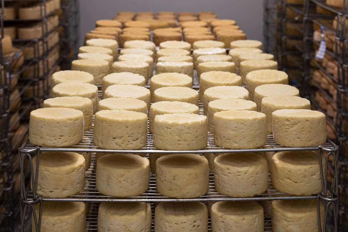 Cheese manufacturing