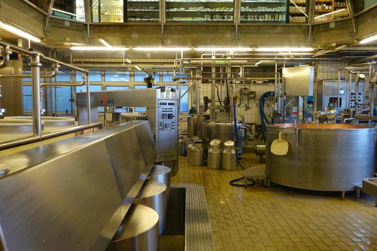 Cheese Making Factory