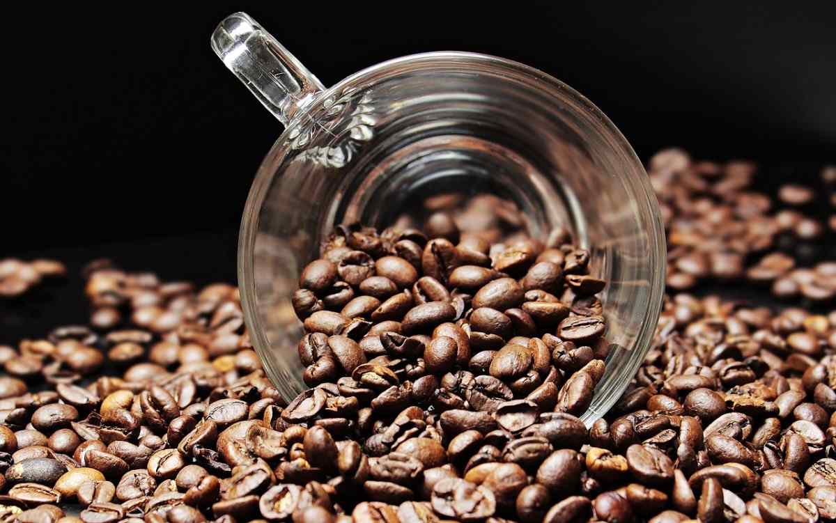 Coffee Export Business