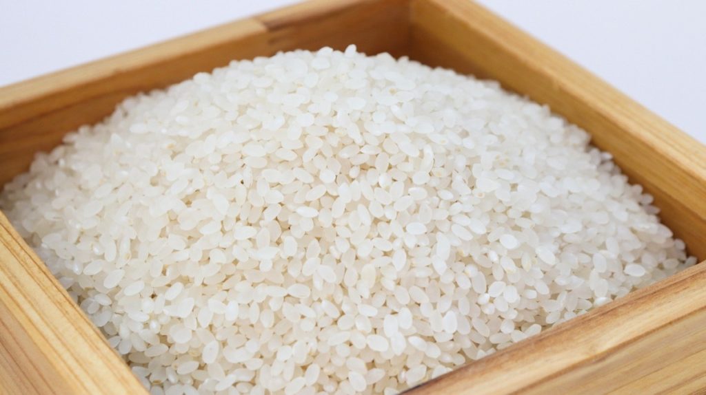 Business Plan to start rice export business in India