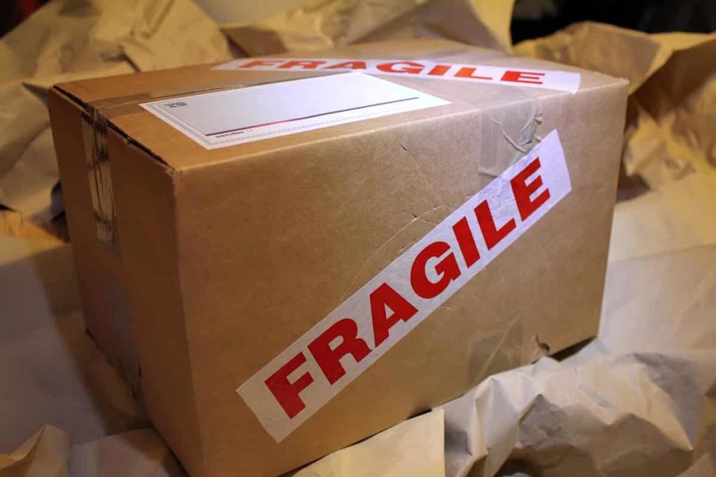 Fragile Carton
