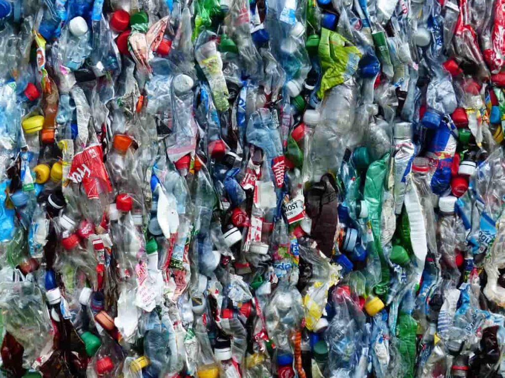 Bottle Recycling Business