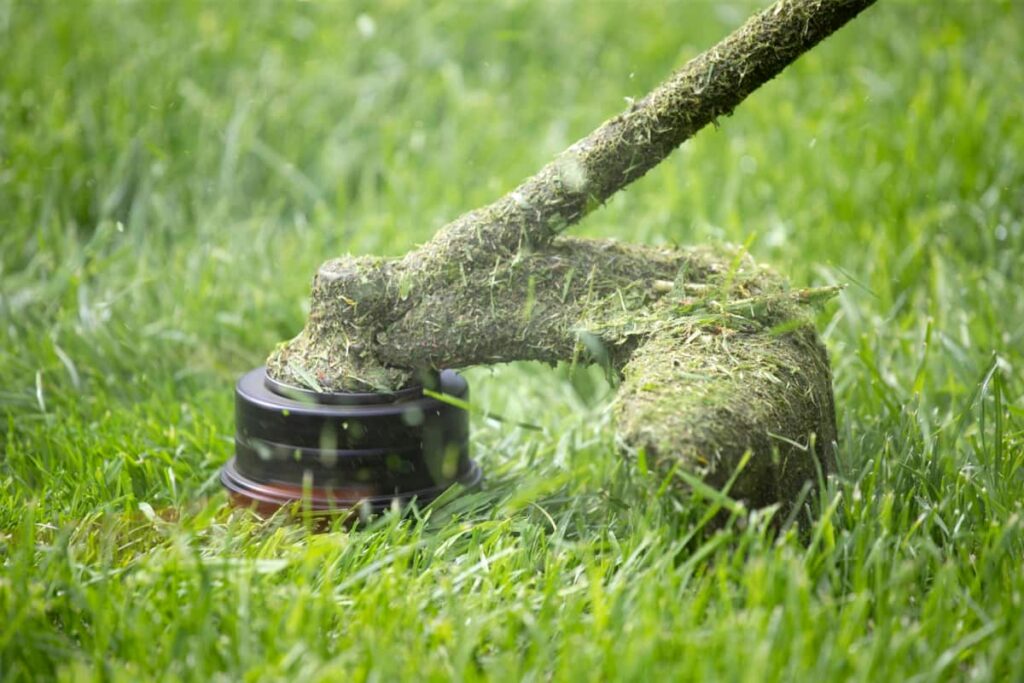 Grass Trimming Machine