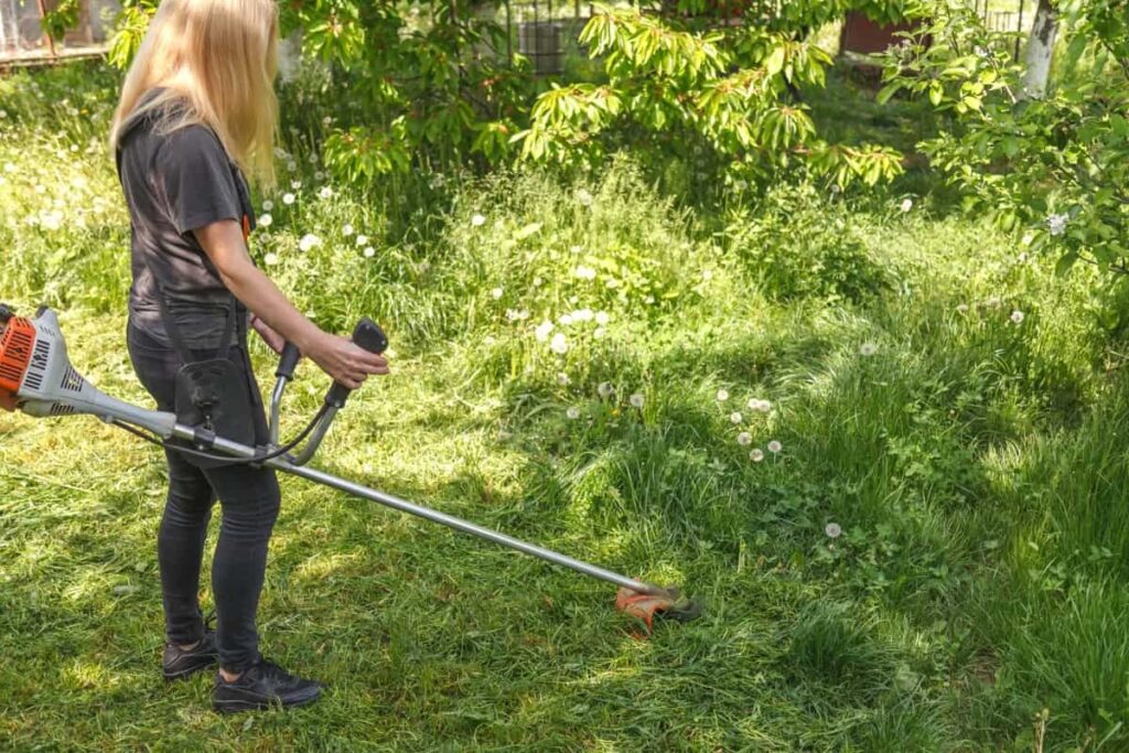 How to Start a Landscaping or Lawn Care Business in Colorado