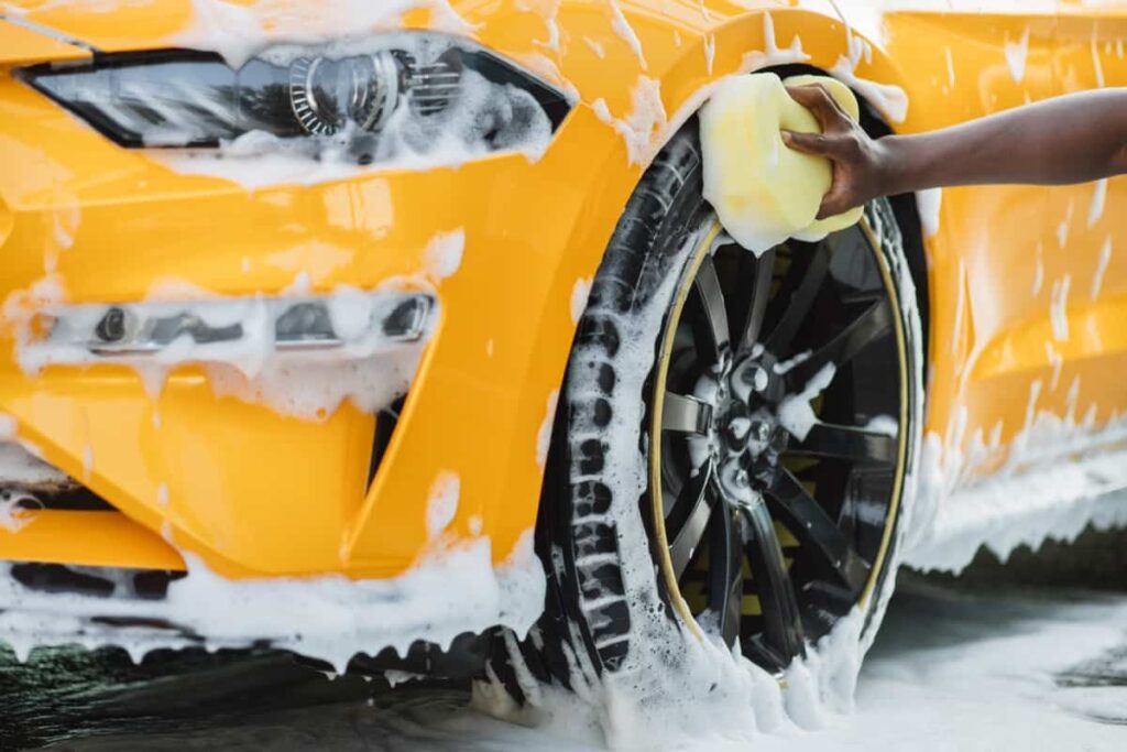 Car Wash Sponge