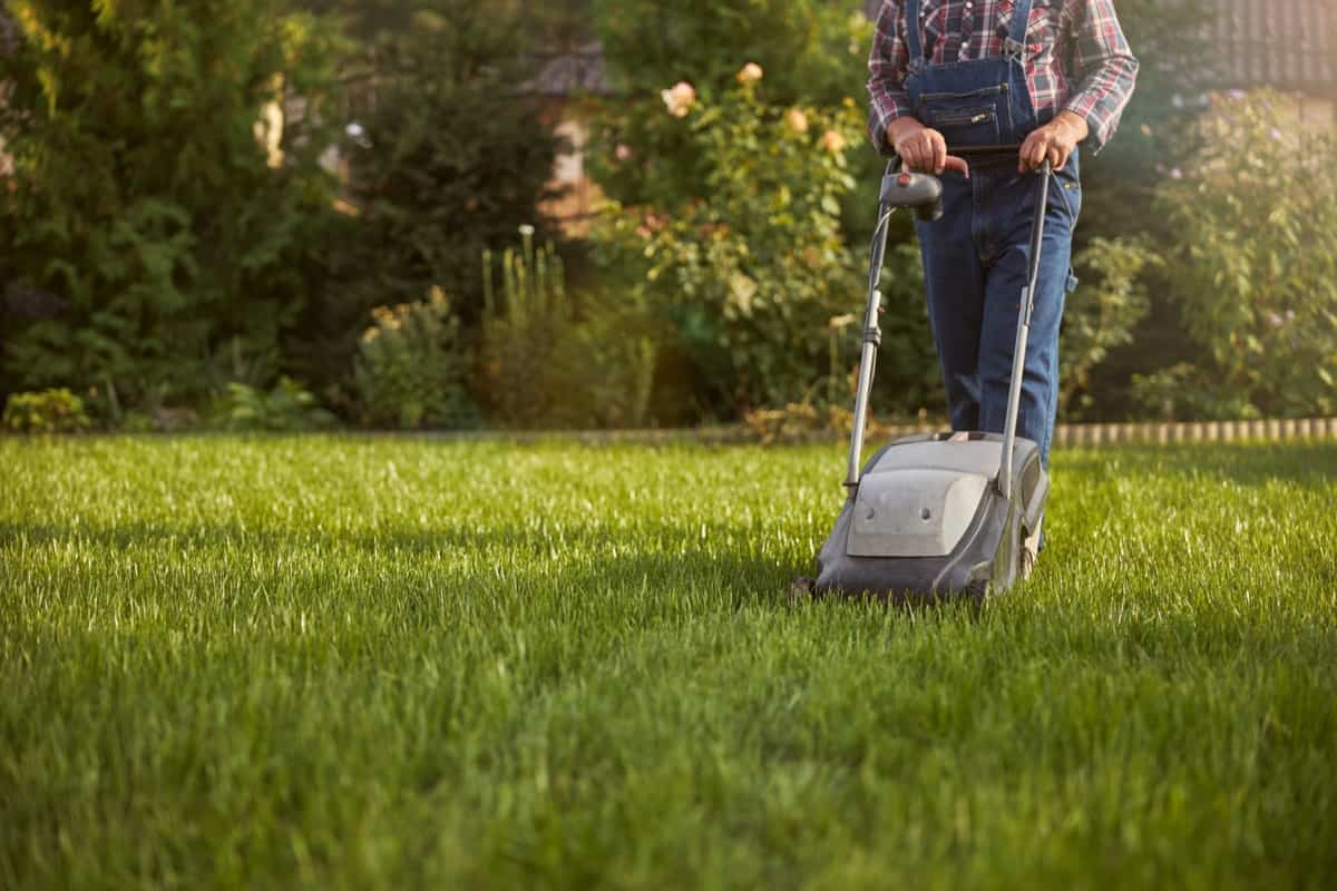 How to Start a Landscaping or Lawn Care Business in Connecticut