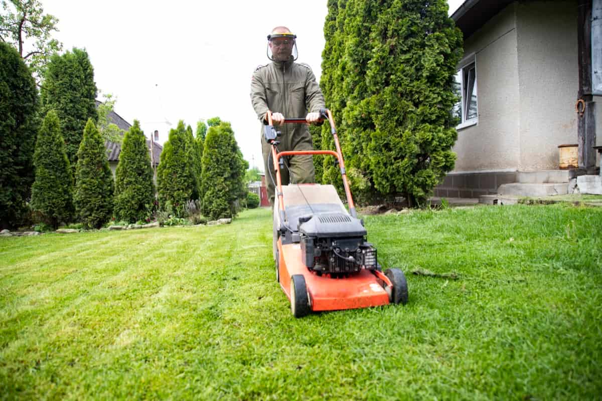 Lawn Shaping Equipement