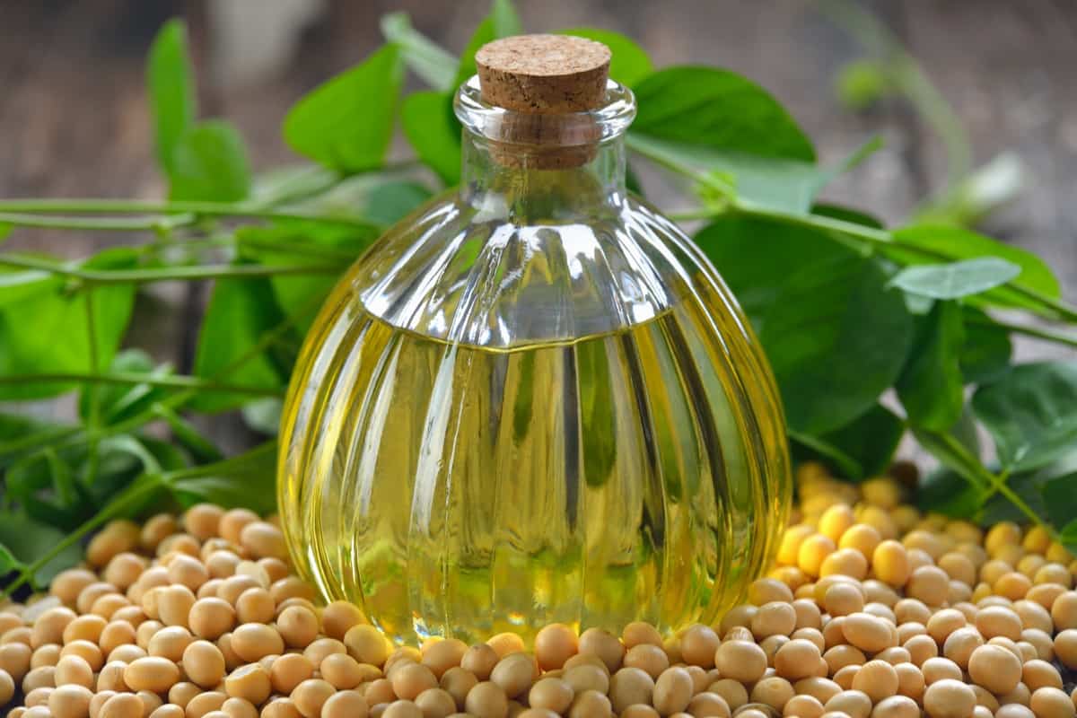 Profitable Soybean Based Business: Soybean Oil