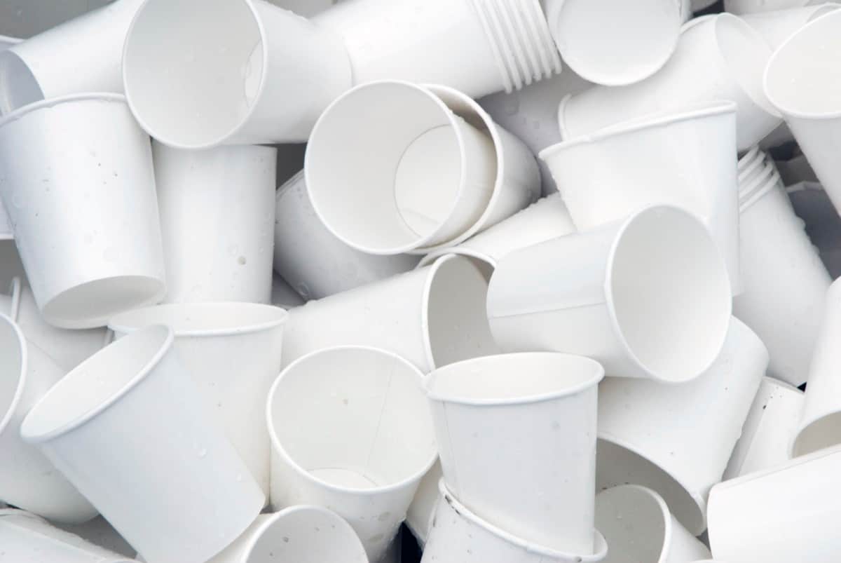 Used Paper Cups