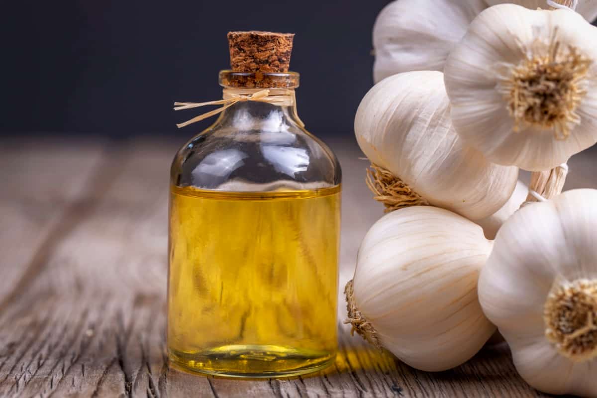 Profitable Garlic Based Business Ideas: Garlic Insect Repellent