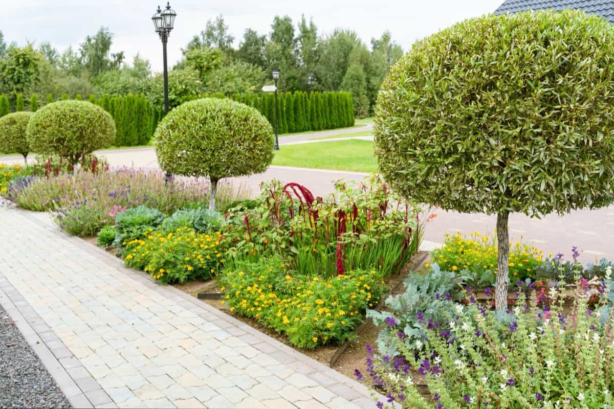 Guide to Launching a Landscape Design Business1