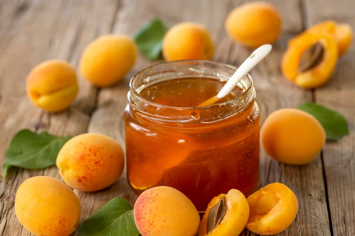 Value-added Business Ideas for Apricots