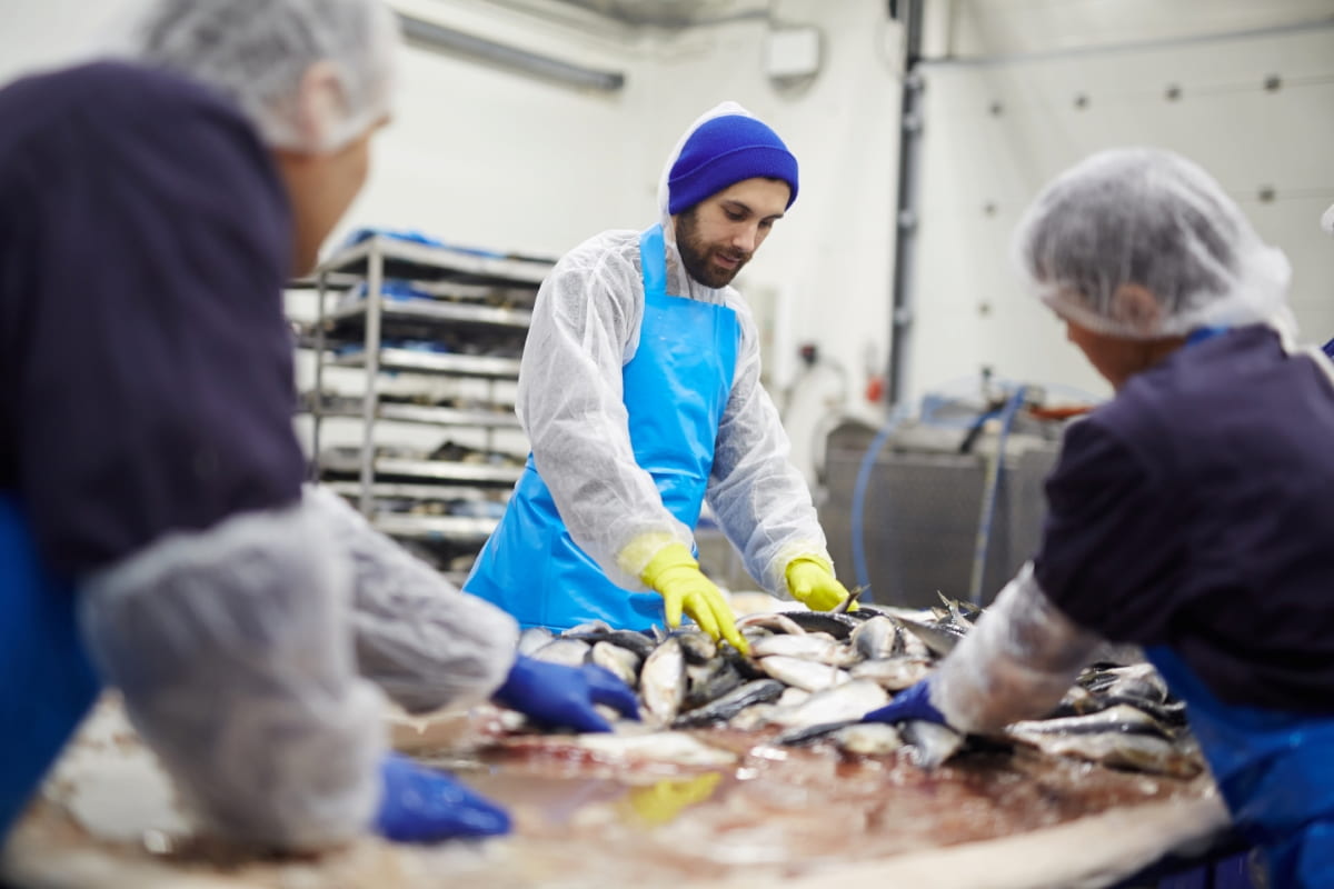 10 Value-Added Business Ideas for Fish Farmers