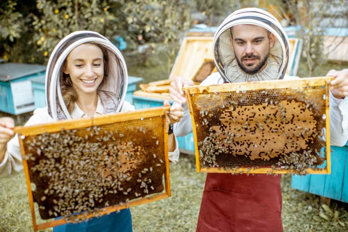 Beekeepers with Honeycombs