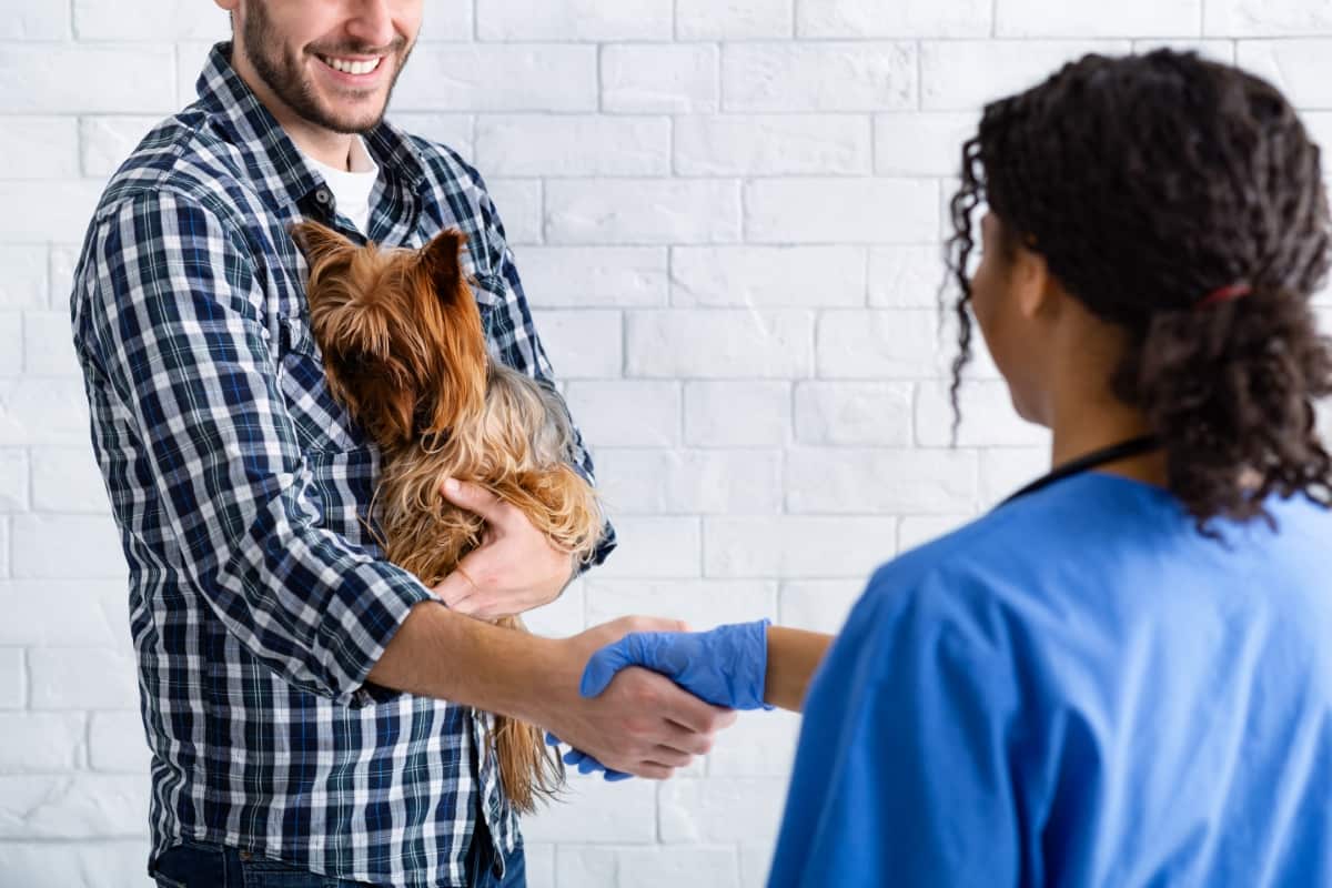 Client Holding Little Dog