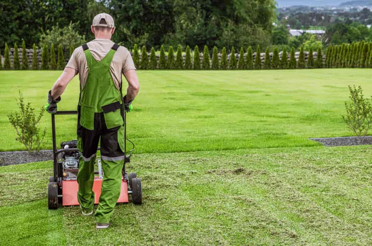 Gardener Working in Lawn